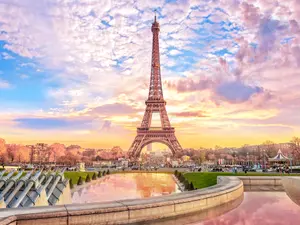 Waiters In Paris Battle For Glory In High-Stakes Café Race!