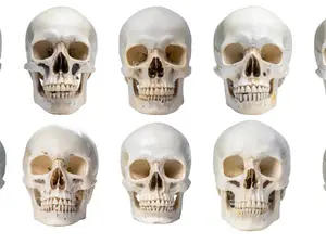 Was Benjamin Franklin A Serial Killer?