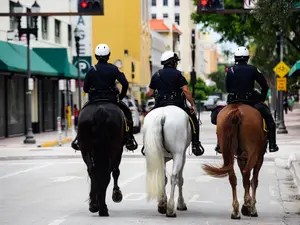 Watch Police Horses Take Down Shoplifter