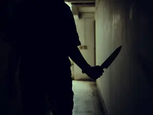 Model Fatally Stabs Boyfriend