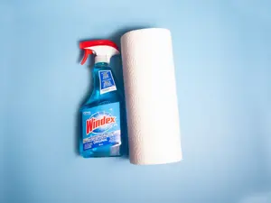 10 Unexpected Uses For Windex®