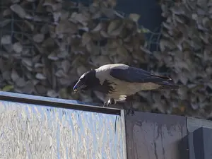 Woman's Legs Found In Dumpster - Husband's Shopping Spree Uncovered