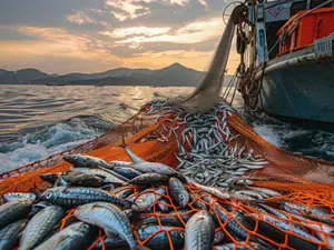 Authorities Found Fake Wall On Boat - What Was Behind It Is Unbelievable